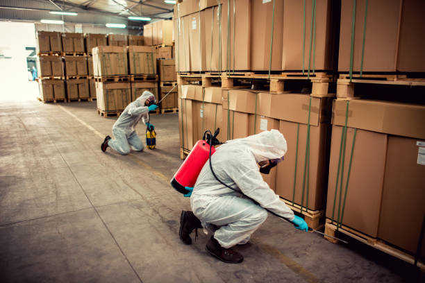 Best Wildlife Control Services  in Hemby Bridge, NC