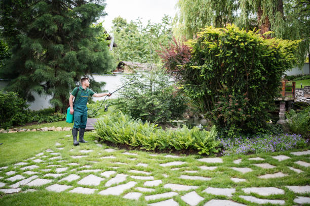 Reliable Hemby Bridge, NC Pest Control Solutions