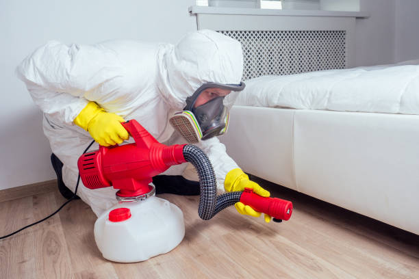 Best Affordable Pest Control Services  in Hemby Bridge, NC