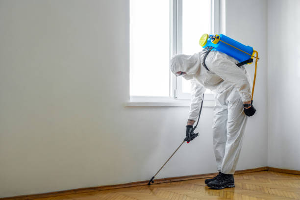 Pest Control Cost in Hemby Bridge, NC